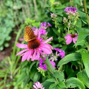 Meet your Posher, Erinn